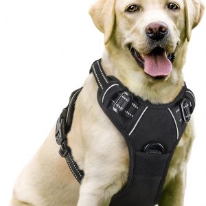 No-Pull Dog Harness for Large Dogs