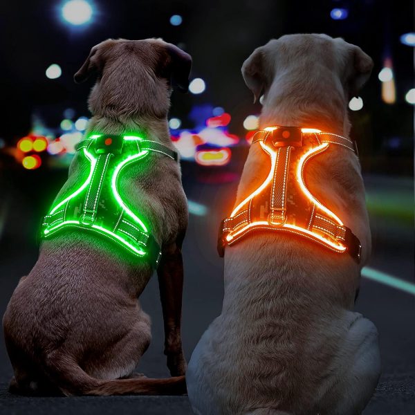 Light Up Dog Harness