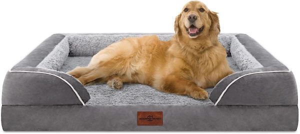 Comfort Expression Waterproof Orthopedic Foam Dog Bed