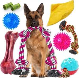 Zeaxuie Heavy Duty Various Dog Chew Toys for Aggressive Chewers
