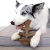 Benebone Large 4-Pack Dog Chew Toys for Aggressive Chewers