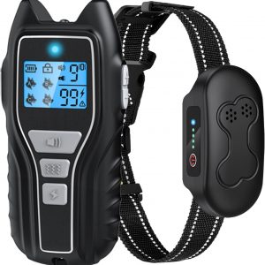 Rechargeable Dog Training Collar with Remote