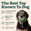 WOOF Pupsicle, Long-Lasting Fillable Dog Toy