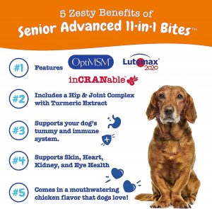 Senior Advanced Multifunctional Supplement for Dogs