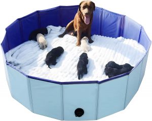 Whelping Box for Dogs and Puppies