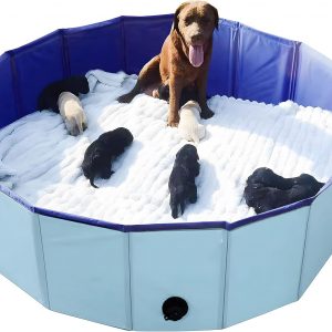 Whelping Box for Dogs and Puppies